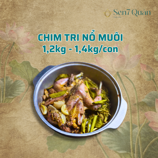 CHIM TRĨ NỔ MUỐI