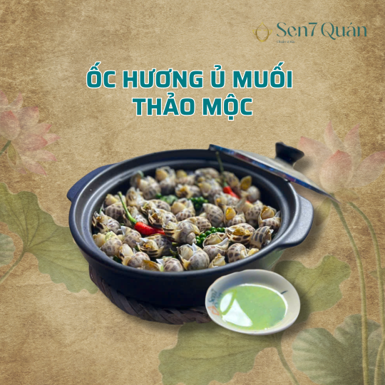 ỐC HƯƠNG Ủ MUỐI THẢO MỘC
