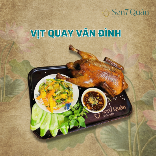  VỊT QUAY VÂN ĐÌNH