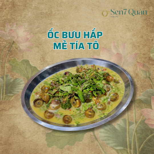 ỐC BƯƠU HẤP MẺ TÍA TÔ
