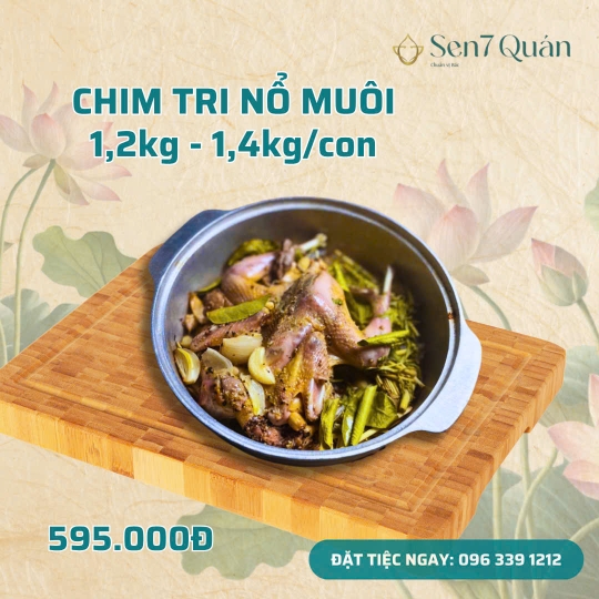  CHIM TRĨ NỔ MUỐI
